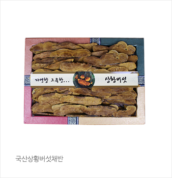 국산상황버섯채반